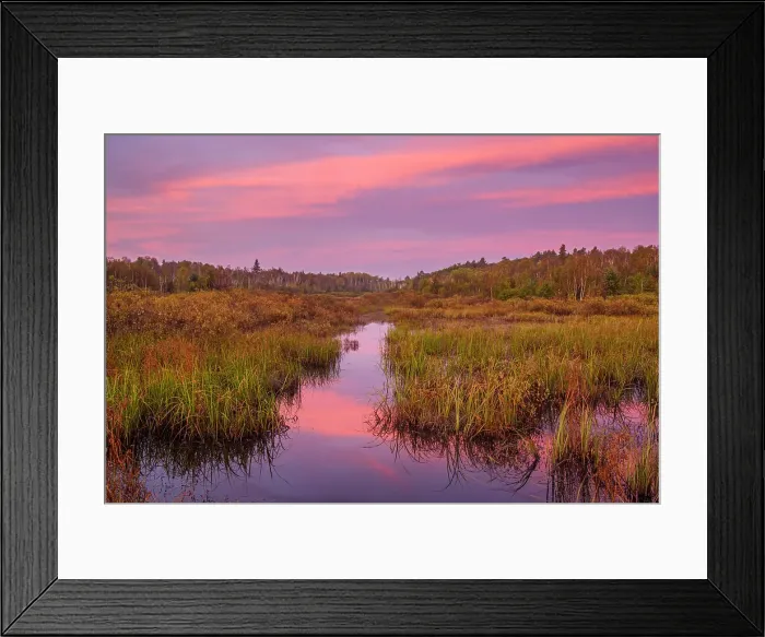 Framed Print : Beaver pond at dawn in early autumn, Greater Sudbury, Ontario, Canada Framed Print : Beaver pond at dawn in early autumn, Greater Sudbury, Ontario, Canada