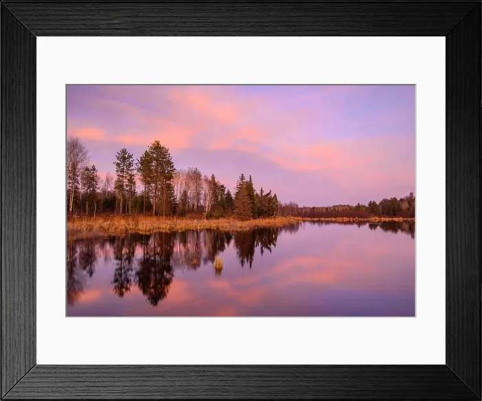 Framed Print : Reflections in a beaver pond at sunset, Greater Sudbury, Ontario, Canada Framed Print : Reflections in a beaver pond at sunset, Greater Sudbury, Ontario, Canada