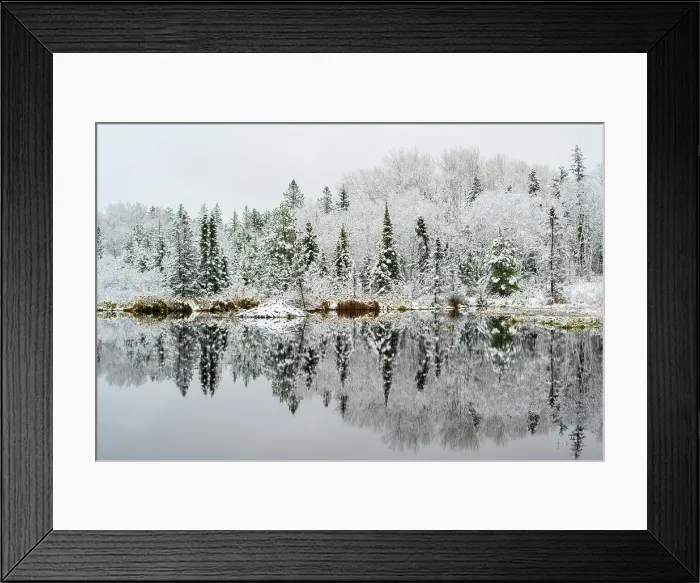 Framed Print : Early snow in a beaver pond, Greater Sudbury, Ontario, Canada