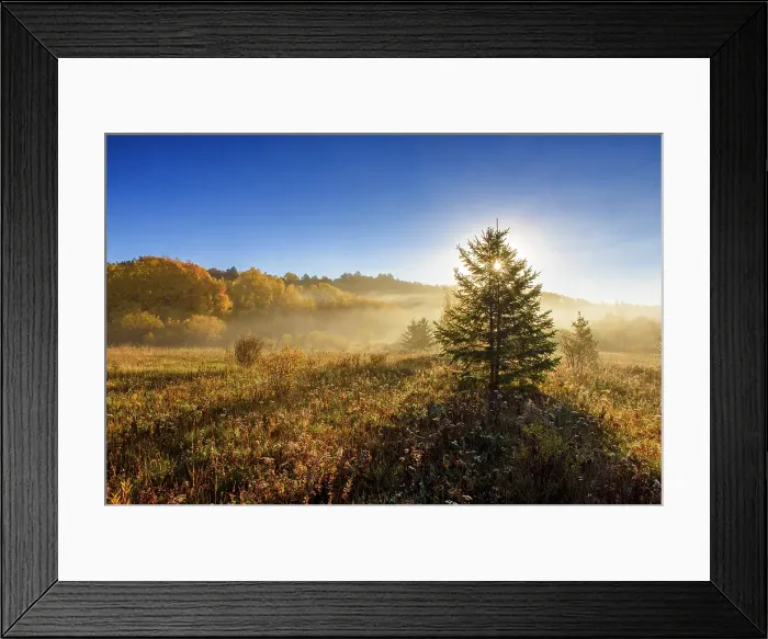 Framed Print : Autumn meadow with the rising sun casting shadows, Greater Sudbury, Ontario, Canada Framed Print : Autumn meadow with the rising sun casting shadows, Greater Sudbury, Ontario, Canada