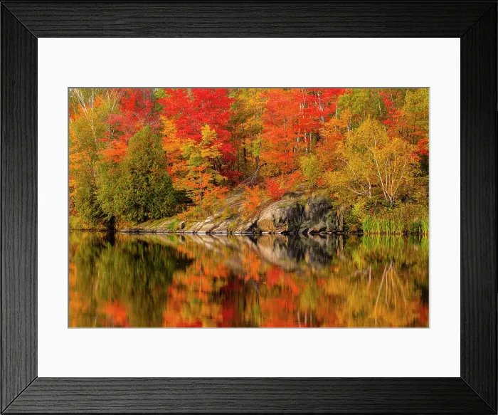 Framed Print : Autumn foliage along the shore of Simon Lake, Greater Sudbury, Ontario, Canada Framed Print : Autumn foliage along the shore of Simon Lake, Greater Sudbury, Ontario, Canada