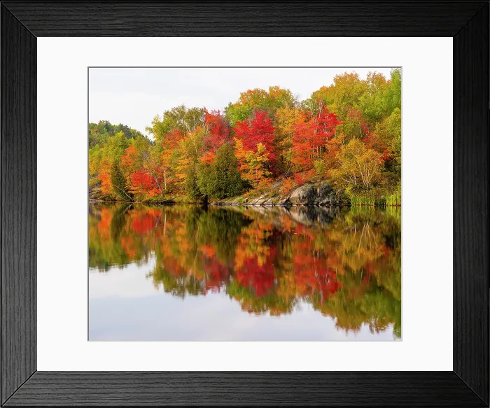 Framed Print : Autumn foliage along the shore of Simon Lake, Greater Sudbury, Ontario, Canada Framed Print : Autumn foliage along the shore of Simon Lake, Greater Sudbury, Ontario, Canada