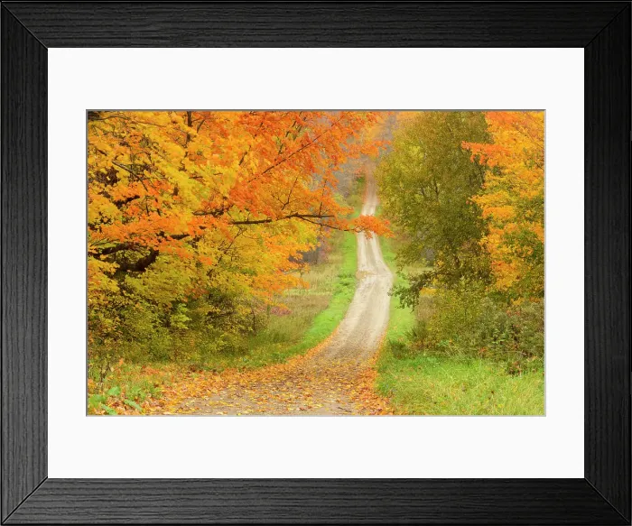 Framed Print : Burnett's sideroad in autumn, Sheguiandah, Manitoulin Island, Ontario, Canada Framed Print : Burnett's sideroad in autumn, Sheguiandah, Manitoulin Island, Ontario, Canada