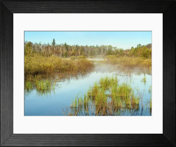 Framed Print : Beaver pond in early spring, Greater Sudbury, Ontario, Canada Framed Print : Beaver pond in early spring, Greater Sudbury, Ontario, Canada