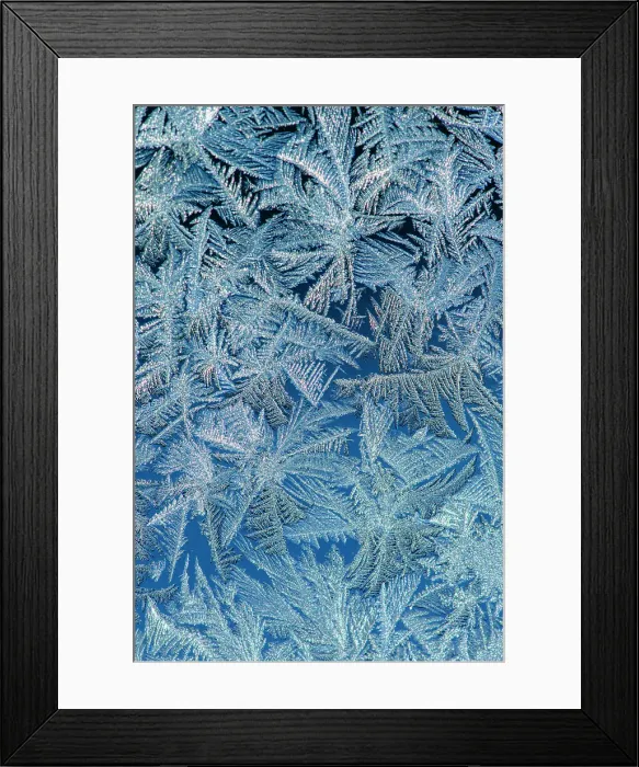 Framed Print : Frost formations on a window on a cold morning, Greater Sudbury, Ontario, Canada Framed Print : Frost formations on a window on a cold morning, Greater Sudbury, Ontario, Canada