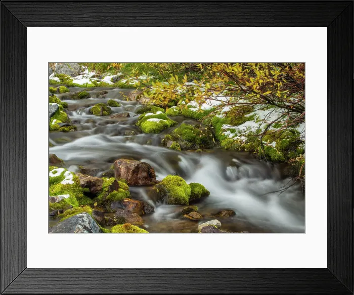 Framed Print : A small stream with fresh snow, Spray Lake Provincial Park, Alberta, Canada Framed Print : A small stream with fresh snow, Spray Lake Provincial Park, Alberta, Canada