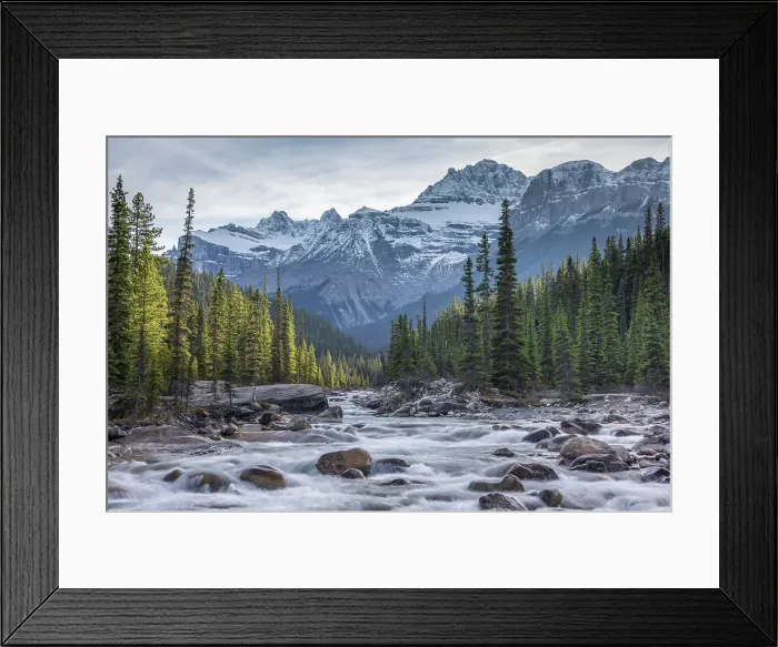 Framed Print : The Mistaya River in the Canadian Rockies, Alberta, Canada. Autumn (October) 2024