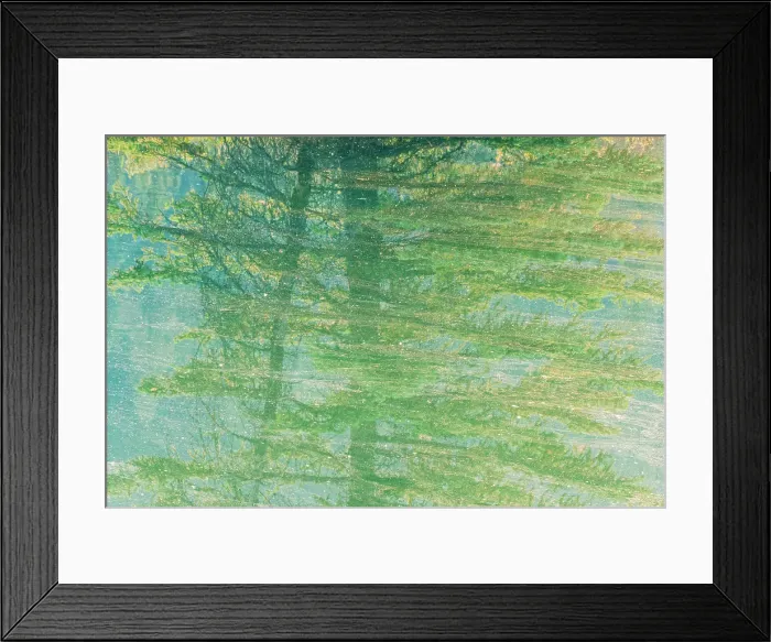 Framed Print : Abstract of shadows of trees reflected in Cascade Pond with tree pollen covering the surface. Fog at sunrise. Banff National Park, Alberta, Canada Framed Print : Abstract of shadows of trees reflected in Cascade Pond with tree pollen covering the surface. Fog at sunrise. Banff National Park, Alberta, Canada