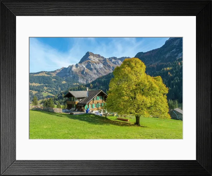 Framed Print : Chalet and tree in front of Spitzhorn, Gsteig bei Gstaad, Berner Oberland, Switzerland Framed Print : Chalet and tree in front of Spitzhorn, Gsteig bei Gstaad, Berner Oberland, Switzerland
