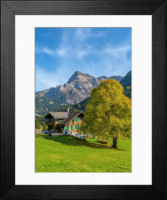 Framed Print : Chalet and tree in front of Spitzhorn, Gsteig bei Gstaad, Berner Oberland, Switzerland Framed Print : Chalet and tree in front of Spitzhorn, Gsteig bei Gstaad, Berner Oberland, Switzerland