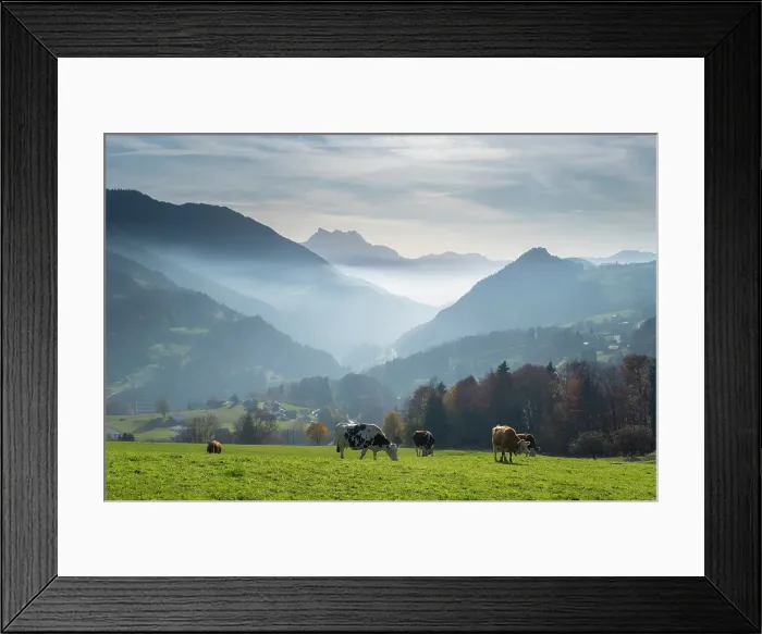 Framed Print : Dents du Midi from Le Sepey, La Grande Eau valley, Vaud, Switzerland Framed Print : Dents du Midi from Le Sepey, La Grande Eau valley, Vaud, Switzerland