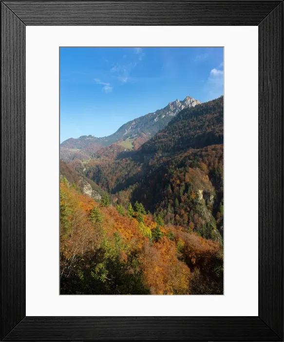 Framed Print : Forest covered hillside above Aigle, La Grande Eau valley, Vaud, Switzerland