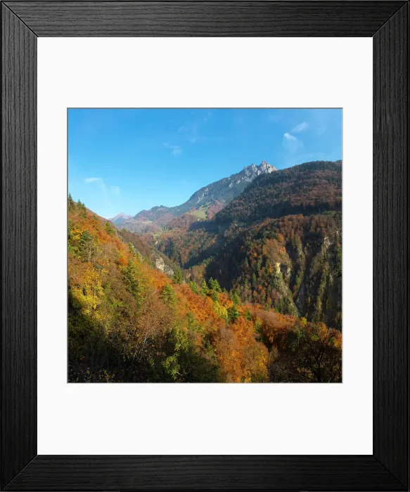 Framed Print : Forest covered hillside above Aigle, La Grande Eau valley, Vaud, Switzerland Framed Print : Forest covered hillside above Aigle, La Grande Eau valley, Vaud, Switzerland