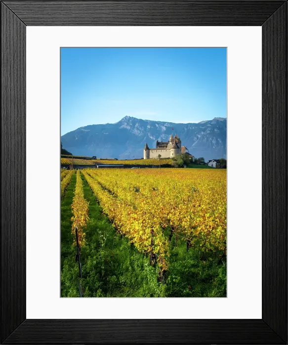 Framed Print : Chateau d'Aigle and vineyards, Aigle, Vaud, Switzerland