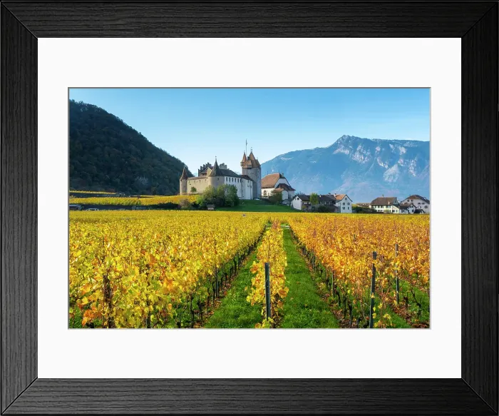 Framed Print : Chateau d'Aigle and vineyards, Aigle, Vaud, Switzerland Framed Print : Chateau d'Aigle and vineyards, Aigle, Vaud, Switzerland