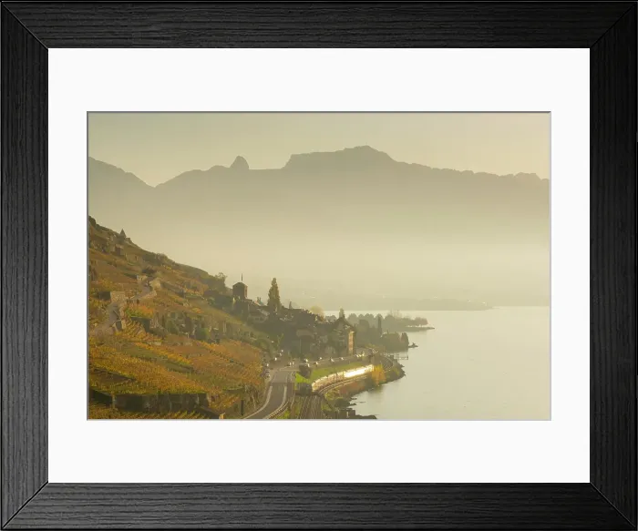 Framed Print : Terrasses de Lavaux Vineyards, Lake Geneva (Lac Leman), Vaud, Switzerland Framed Print : Terrasses de Lavaux Vineyards, Lake Geneva (Lac Leman), Vaud, Switzerland