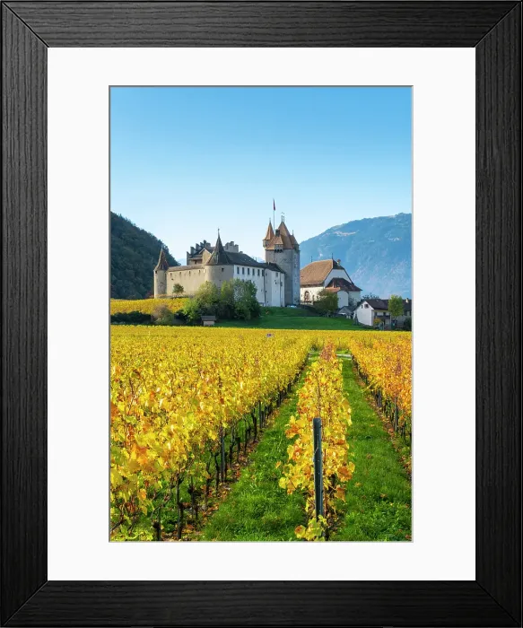 Framed Print : Chateau d'Aigle and vineyards, Aigle, Vaud, Switzerland Framed Print : Chateau d'Aigle and vineyards, Aigle, Vaud, Switzerland