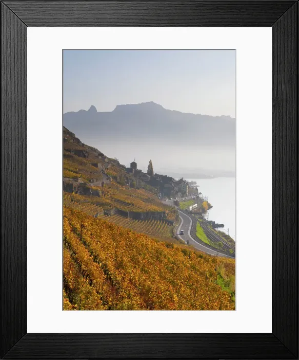 Framed Print : Terrasses de Lavaux Vineyards, Lake Geneva (Lac Leman), Vaud, Switzerland Framed Print : Terrasses de Lavaux Vineyards, Lake Geneva (Lac Leman), Vaud, Switzerland