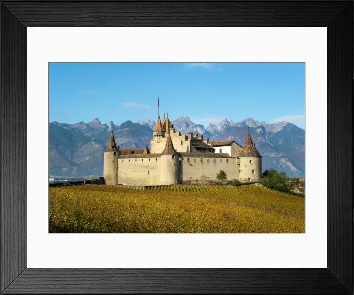 Framed Print : Chateau d'Aigle and vineyards, Aigle, Vaud, Switzerland Framed Print : Chateau d'Aigle and vineyards, Aigle, Vaud, Switzerland
