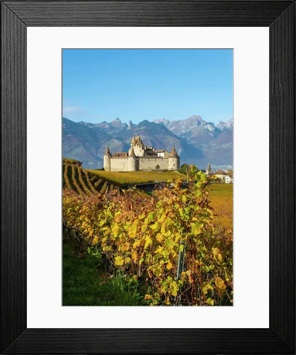 Framed Print : Chateau d'Aigle and vineyards, Aigle, Vaud, Switzerland Framed Print : Chateau d'Aigle and vineyards, Aigle, Vaud, Switzerland