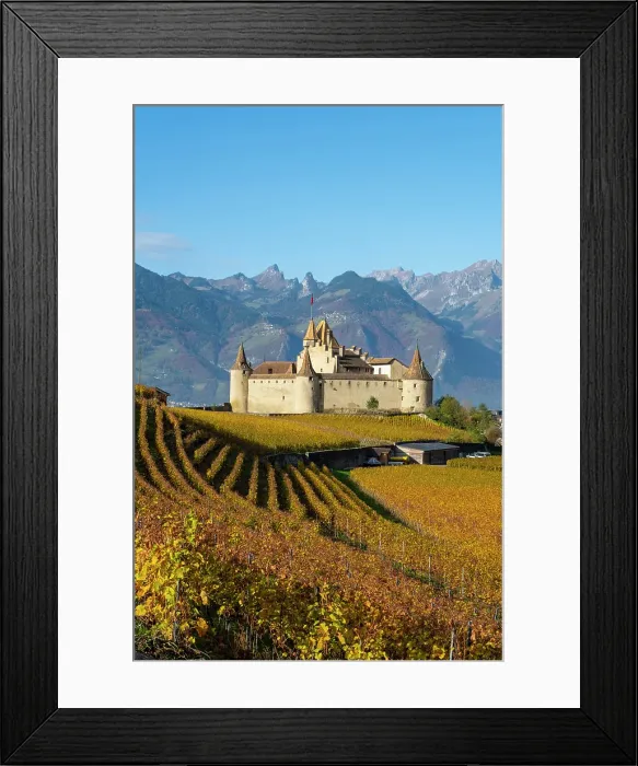 Framed Print : Chateau d'Aigle and vineyards, Aigle, Vaud, Switzerland Framed Print : Chateau d'Aigle and vineyards, Aigle, Vaud, Switzerland