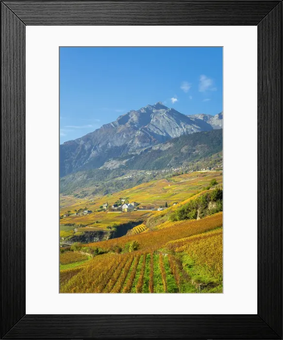 Framed Print : Vineyards above Vetroz, near Sion, Rhone Valley, Valais, Switzerland Framed Print : Vineyards above Vetroz, near Sion, Rhone Valley, Valais, Switzerland