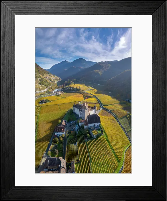 Framed Print : Chateau d'Aigle and vineyards, Aigle, Vaud, Switzerland