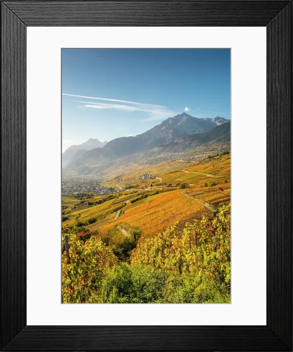 Framed Print : Vineyards above Vetroz, near Sion, Rhone Valley, Valais, Switzerland Framed Print : Vineyards above Vetroz, near Sion, Rhone Valley, Valais, Switzerland