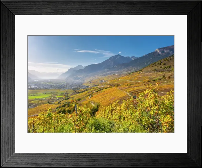 Framed Print : Vineyards above Vetroz, near Sion, Rhone Valley, Valais, Switzerland Framed Print : Vineyards above Vetroz, near Sion, Rhone Valley, Valais, Switzerland
