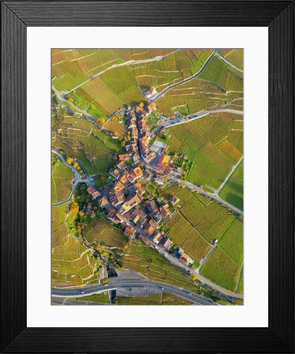 Framed Print : Terrasses de Lavaux Vineyards, Lake Geneva (Lac Leman), Vaud, Switzerland Framed Print : Terrasses de Lavaux Vineyards, Lake Geneva (Lac Leman), Vaud, Switzerland