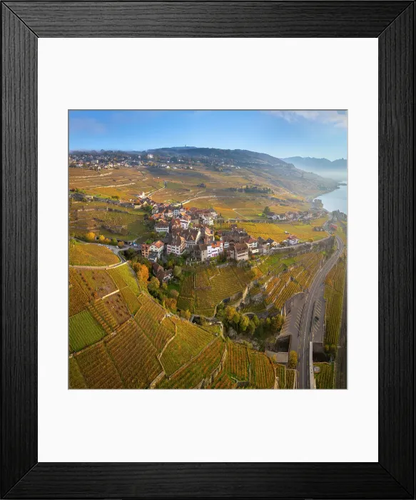 Framed Print : Terrasses de Lavaux Vineyards, Lake Geneva (Lac Leman), Vaud, Switzerland