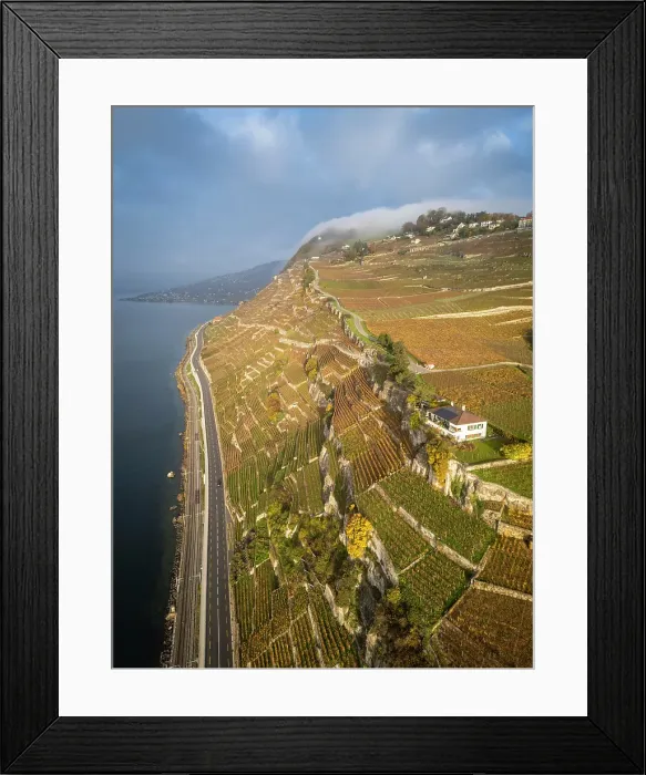Framed Print : Terrasses de Lavaux Vineyards, Lake Geneva (Lac Leman), Vaud, Switzerland Framed Print : Terrasses de Lavaux Vineyards, Lake Geneva (Lac Leman), Vaud, Switzerland