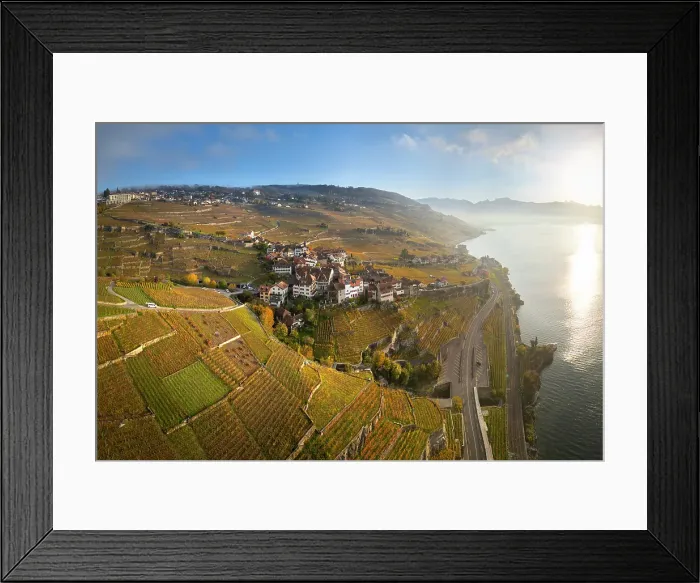 Framed Print : Terrasses de Lavaux Vineyards, Lake Geneva (Lac Leman), Vaud, Switzerland
