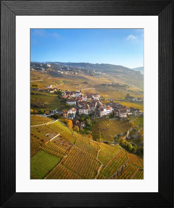 Framed Print : Terrasses de Lavaux Vineyards, Lake Geneva (Lac Leman), Vaud, Switzerland Framed Print : Terrasses de Lavaux Vineyards, Lake Geneva (Lac Leman), Vaud, Switzerland