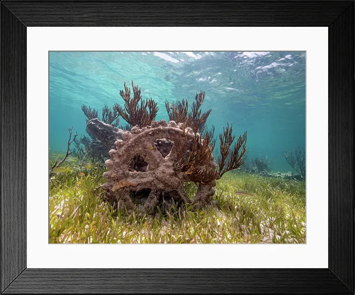 Framed Print : Wreck of the Geneva Kathleen at Barefoot Beach, Grand Cayman, Cayman Islands, British West Indies Framed Print : Wreck of the Geneva Kathleen at Barefoot Beach, Grand Cayman, Cayman Islands, British West Indies