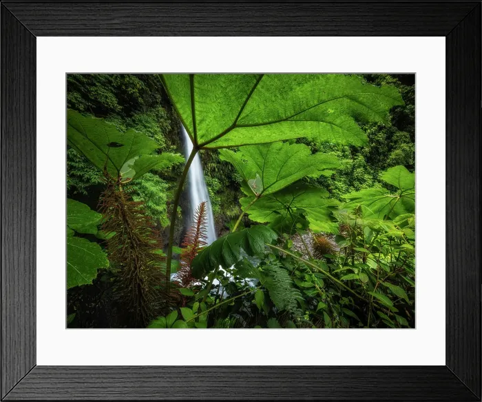 Framed Print : Catarata de La Paz (La Paz waterfall), Alajuela Province, Costa Rica Framed Print : Catarata de La Paz (La Paz waterfall), Alajuela Province, Costa Rica