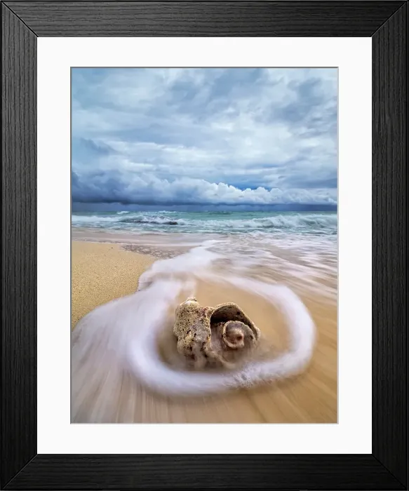 Framed Print : Incoming waves wash over a weather beaten conch shell on Consuelos Beach during the onset of a tropical storm, Grand Cayman, Cayman Islands, British West Indies Framed Print : Incoming waves wash over a weather beaten conch shell on Consuelos Beach during the onset of a tropical storm, Grand Cayman, Cayman Islands, British West Indies