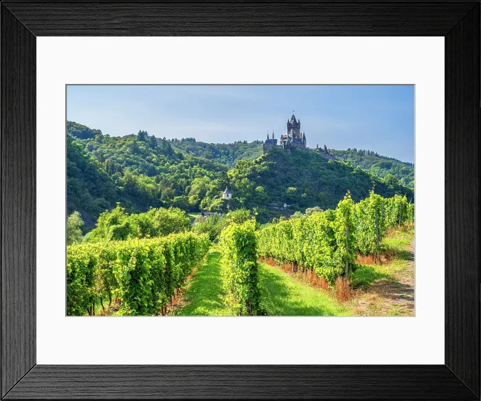 Framed Print : Vineyard with Cochem castle, Cochem, Mosel valley, Rhineland-Palatinate, Germany Framed Print : Vineyard with Cochem castle, Cochem, Mosel valley, Rhineland-Palatinate, Germany