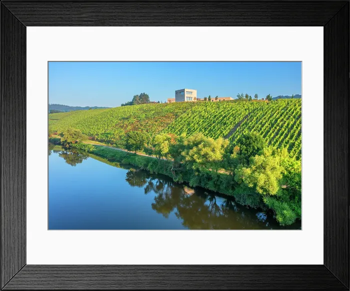 Framed Print : Morning view at the Van Volxem winery and vinothek with river Saar, Wiltingen, Rhineland-Palatinate, Germany Framed Print : Morning view at the Van Volxem winery and vinothek with river Saar, Wiltingen, Rhineland-Palatinate, Germany
