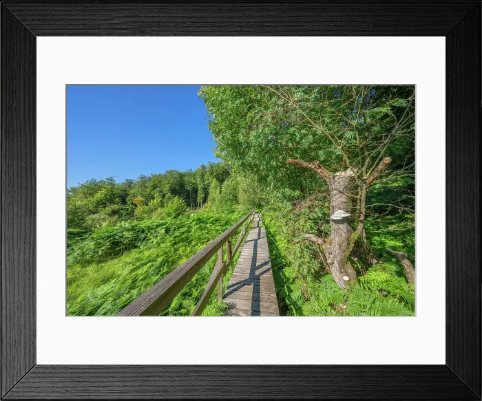 Framed Print : Borfinker Ochsenpfad trail, Hunsruck National Park, Rhineland-Palatinate, Germany Framed Print : Borfinker Ochsenpfad trail, Hunsruck National Park, Rhineland-Palatinate, Germany