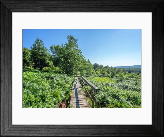 Framed Print : Borfinker Ochsenpfad trail, Hunsruck National Park, Rhineland-Palatinate, Germany Framed Print : Borfinker Ochsenpfad trail, Hunsruck National Park, Rhineland-Palatinate, Germany