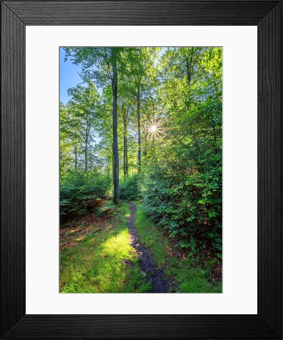 Framed Print : Borfinker Ochsenpfad trail, Hunsruck National Park, Rhineland-Palatinate, Germany Framed Print : Borfinker Ochsenpfad trail, Hunsruck National Park, Rhineland-Palatinate, Germany