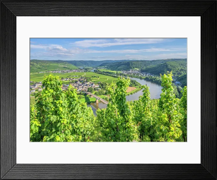 Framed Print : Vineyards above Thornich and Ensch, Mosel, Rhineland-Palatinate, Germany Framed Print : Vineyards above Thornich and Ensch, Mosel, Rhineland-Palatinate, Germany