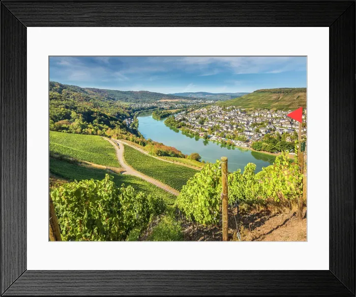 Framed Print : View from the vineyards near the Landshut castle ruins to the Moselle and Bernkastel-Kues, Moselle, Rhineland-Palatinate, Germany Framed Print : View from the vineyards near the Landshut castle ruins to the Moselle and Bernkastel-Kues, Moselle, Rhineland-Palatinate, Germany