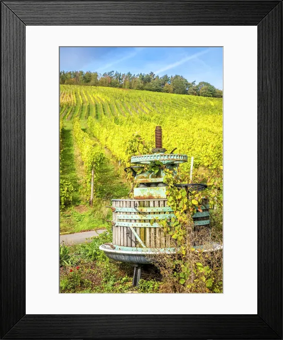 Framed Print : Old wine press in the vineyards above Kues, Bernkastel-Kues, Mosel, Rhineland-Palatinate, Germany Framed Print : Old wine press in the vineyards above Kues, Bernkastel-Kues, Mosel, Rhineland-Palatinate, Germany