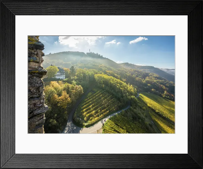 Framed Print : View from the Landshut castle ruins into the vineyards of Bernkastel-Kues, Mosel, Rhineland-Palatinate, Germany Framed Print : View from the Landshut castle ruins into the vineyards of Bernkastel-Kues, Mosel, Rhineland-Palatinate, Germany
