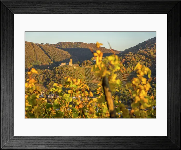 Framed Print : View from the vineyards above Kues to the castle ruins of Landshut, Bernkastel-Kues, Mosel, Rhineland-Palatinate, Germany