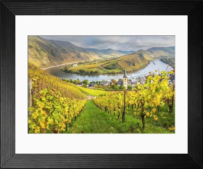 Framed Print : View from the vineyards of the Calmont vineyard to the town of Bremm on the Moselle with the church of St. Laurentius, Bremm, Moselle, Rhineland-Palatinate, Germany Framed Print : View from the vineyards of the Calmont vineyard to the town of Bremm on the Moselle with the church of St. Laurentius, Bremm, Moselle, Rhineland-Palatinate, Germany
