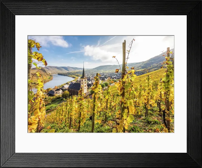 Framed Print : View from the vineyards of the Calmont vineyard to the town of Bremm with the church of St. Laurentius and the Moselle loop, Bremm, Mosel, Rhineland-Palatinate, Germany Framed Print : View from the vineyards of the Calmont vineyard to the town of Bremm with the church of St. Laurentius and the Moselle loop, Bremm, Mosel, Rhineland-Palatinate, Germany