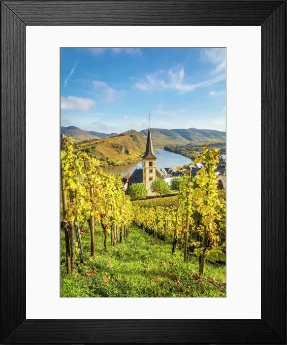 Framed Print : View from the vineyards of the Calmont vineyard to the town of Bremm with the church of St. Laurentius and the Moselle loop, Bremm, Mosel, Rhineland-Palatinate, Germany Framed Print : View from the vineyards of the Calmont vineyard to the town of Bremm with the church of St. Laurentius and the Moselle loop, Bremm, Mosel, Rhineland-Palatinate, Germany